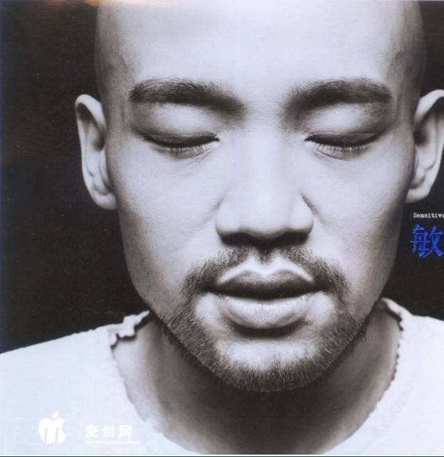 敏感情绪与共鸣 李代沫 2013 《敏感者》.jpg